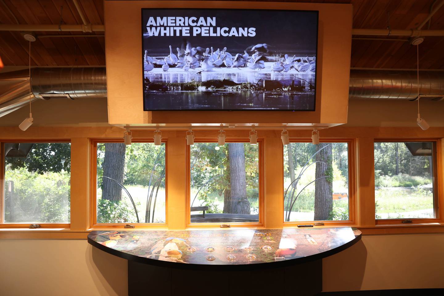 Four Rivers Environmental Center an interactive bird exhibit, including views to the bird feeders and bath. Tuesday, Sept. 20, 2022, in Channahon.