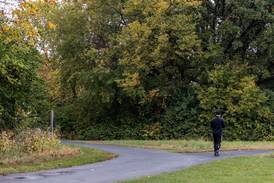 Prolonged warm weather delays peak fall colors across Illinois
