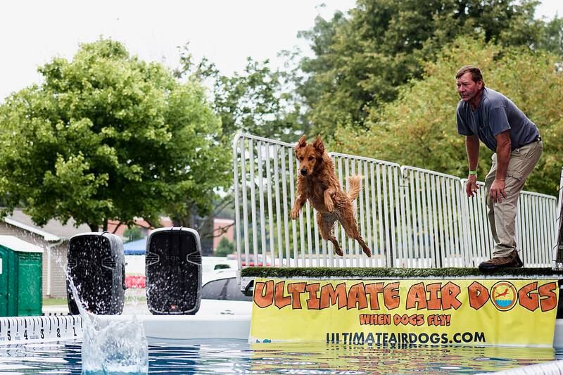 Dogs of all breeds and sizes cooled off by jumping into a pool during the Ultimate Air Dogs competition at Yorkville's Hometown Days celebration Sept. 4.