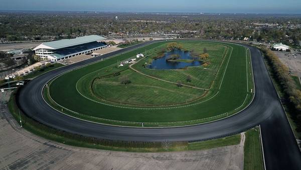 Our View: On the Bears stadium, this is why we can’t have nice things