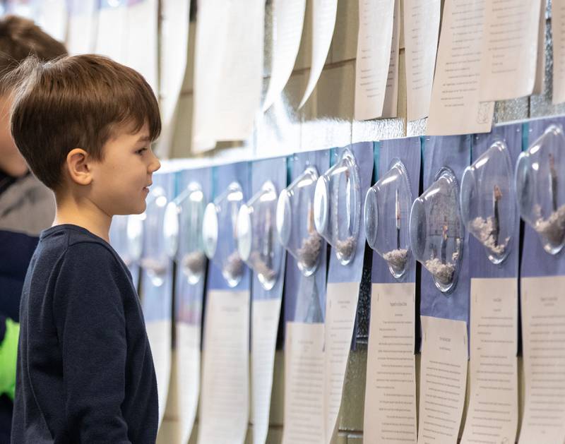 Kindergartener Truman Myers looks at work in the hallway during Saint Mary of Gostyn School's Open House in Downers Grove on Sunday, Jan. 29, 2023.