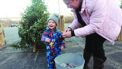 Live Christmas trees sell out at Lake County farms, lots