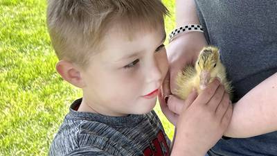 Photos: Oregon FFA holds Ag Day events at elementary school