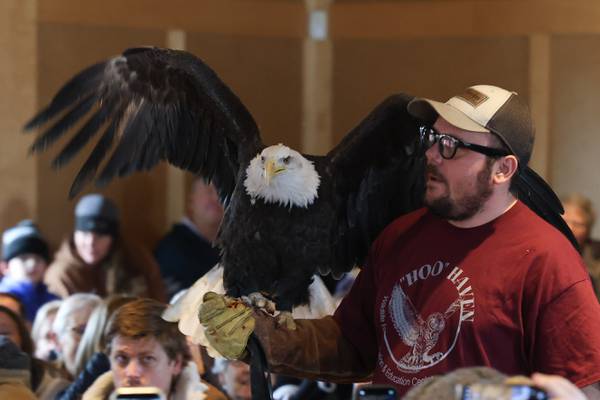 Bertolet Memorial Library to host Birds of Prey program April 15