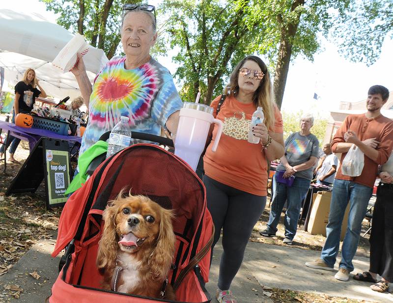 No need to walk the grounds when you could be pushed in a stroller during Bill’s Barktoberfest Saturday at Washington Square in Ottawa. The festival honors the late Bill Walsh Sr., an avid dog lover and community supporter. All proceeds benefit Bill’s Barking Lot, the new city dog park at 401 E. Lafayette St.