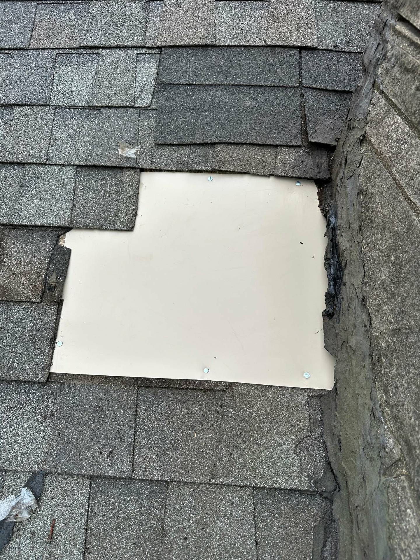 D&K Pest Control and Wildlife Removal in Naperville performed humane wildlife removal at Carleen Cook's Joliet home free of charge as part of the company's decision to occasionally help people unable to pay. D&K Pest Control and Wildlife Removal also patched several points of entry to prevent more wildlife from entering Cook's home. The company came out to Cook's home seven times between Feb. 27 to March 15, 2026.