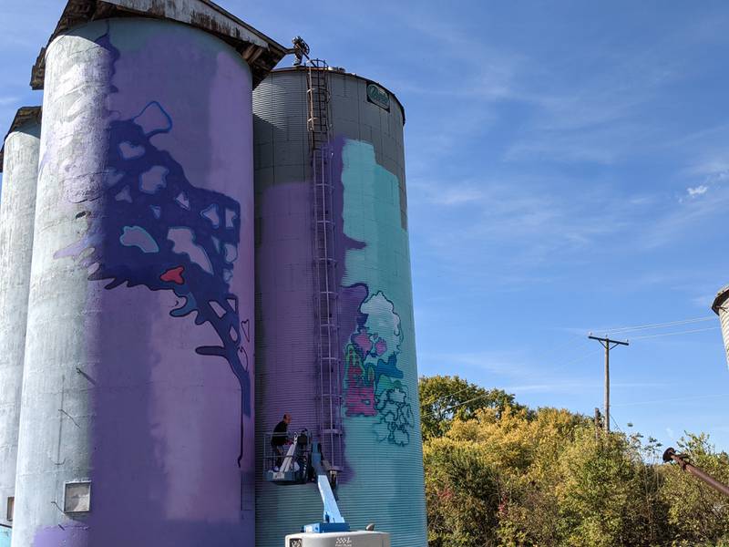 Artist Jason Watts recently started on a mural project on three silos located on Adams Street near Van Buren Street in downtown Oswego. The mural depicts scenes of the Fox River, flora and fauna, trees and a farm scene.