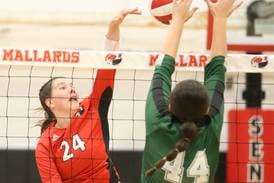 2025 NewsTribune area volleyball leaders