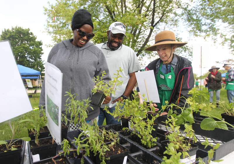 Lovely Ghaston, of Mundelein, and her husband, Nick, talk with Mary Price, of Libertyville, master gardener, about how to make tea using marjoram with mint and cinnamon Saturday, May 20, 2023, during the Lake County Extension Master Gardener Spring Plant Sale at the University of Illinois Extension in Grayslake.