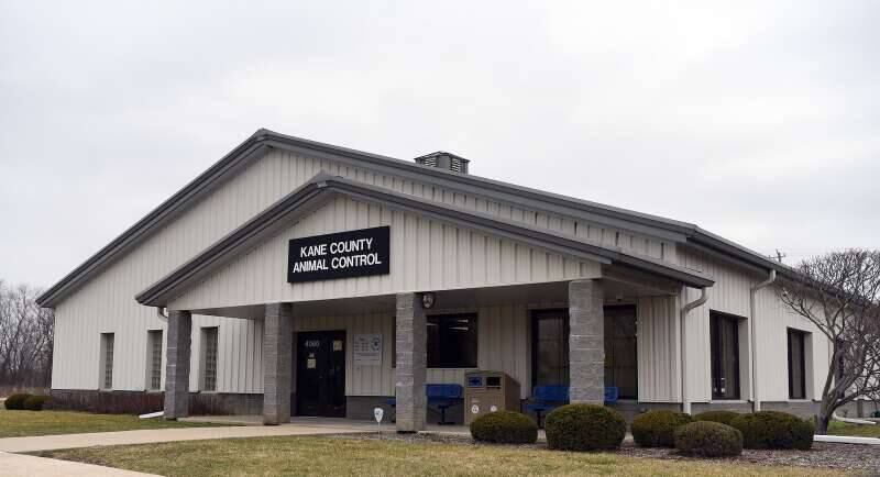 Kane County Animal Control