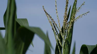 AFBF survey: Majority of U.S. farmers unable to meet fertilizer needs