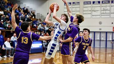 Photos: Mendota at Princeton boys basketball