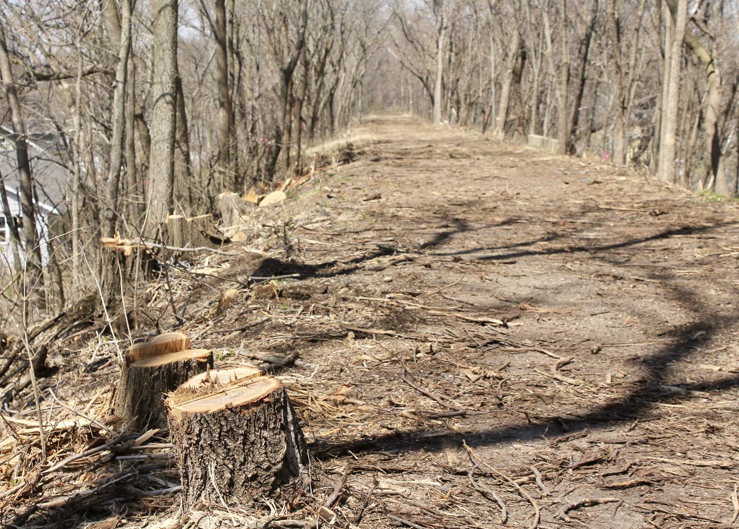 Evidence of clearing in recent weeks is visible along the path that runs north-and-south atop the Illinois Central Railroad stone arch bridges on Tuesday, April 11, 2023. Dixon was awarded a $2.25 million state grant for a bike path extension.