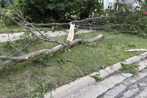 Low-interest loans available for businesses impacted by August 2025 storm damage  