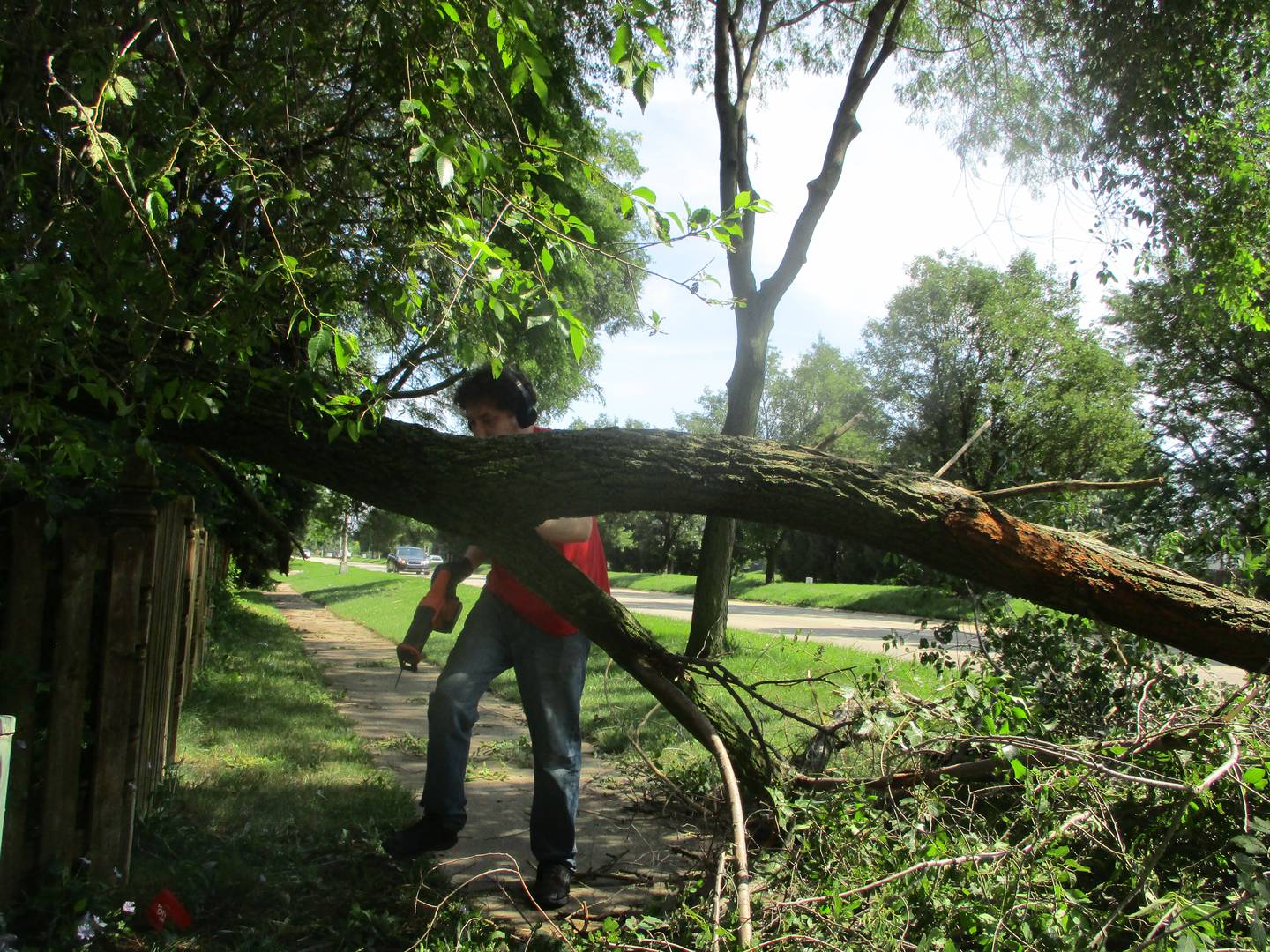 Evan Bredeson saws away at fallen tree limbs at his house in the Springwood subdivision along Houbolt Road in Joliet, The tree was damaged in the Monday night storm. July 16, 2024