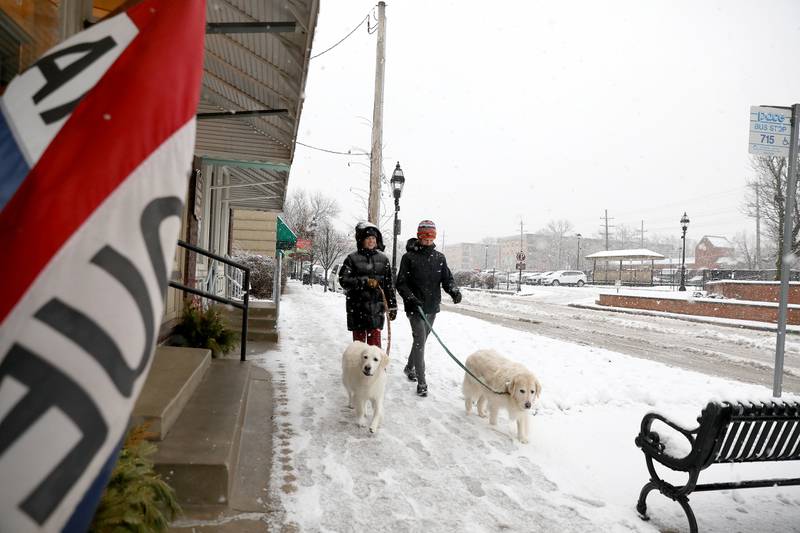 Lily Jesanis (left), with Sunny, and Steve Jesanis, with Wilson, walk in a snowstorm in downtown Glen Ellyn on Tuesday, Jan. 9, 2024.