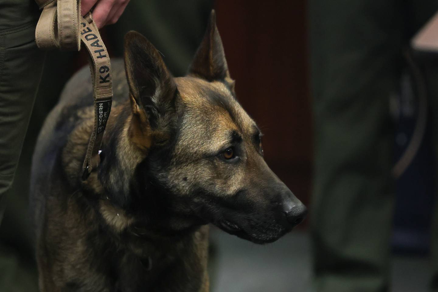 Illinois State Police dog Hades attends a press conference held by Will County State’s Attorney James Glasgow on Wednesday for the announcement of Jordan Henry’s 22-year prison sentence after Henry was convicted of aggravated vehicular hijacking, armed robbery, fleeing and other offenses. Henry was convicted of striking Hades.