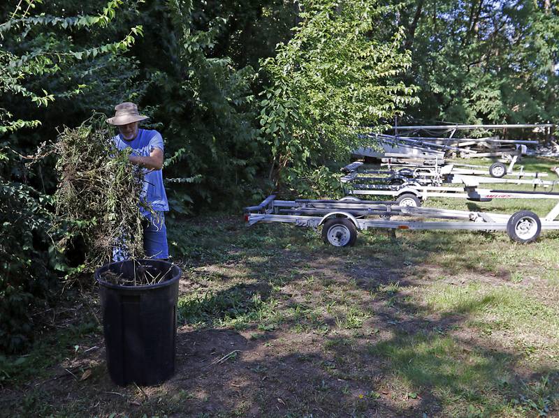 Pistakee Yacht Club member Rob Bryson removes weeds from the lot the club uses to park sailboats and trailers on Tuesday, Oct. 3, 2023. The yacht club has been parking boats and trailers on a lot next to the club since 1970m with a variance from the county. The Village of Johnsburg says they are in violation and have to move them boats and trailers from the lot.