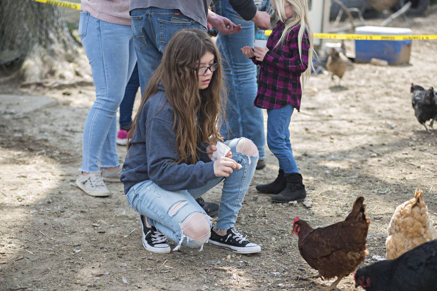Cherikee Serenil, 12, crouches down to feed a chicken while visiting the farm with her family Saturday.