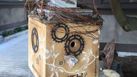 Illinois Extension to offer birdhouse workshop March 7 in Ottawa