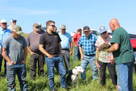 Farmer’s regenerative system includes cattle grazing with virtual fencing
