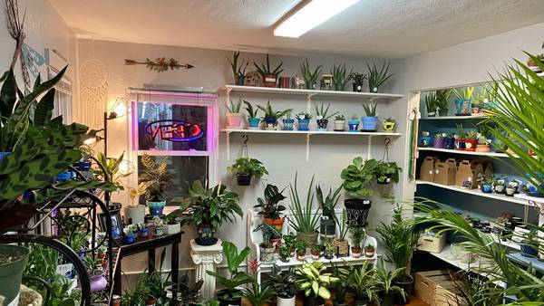 Crest Hill plant, wellness store opens new location