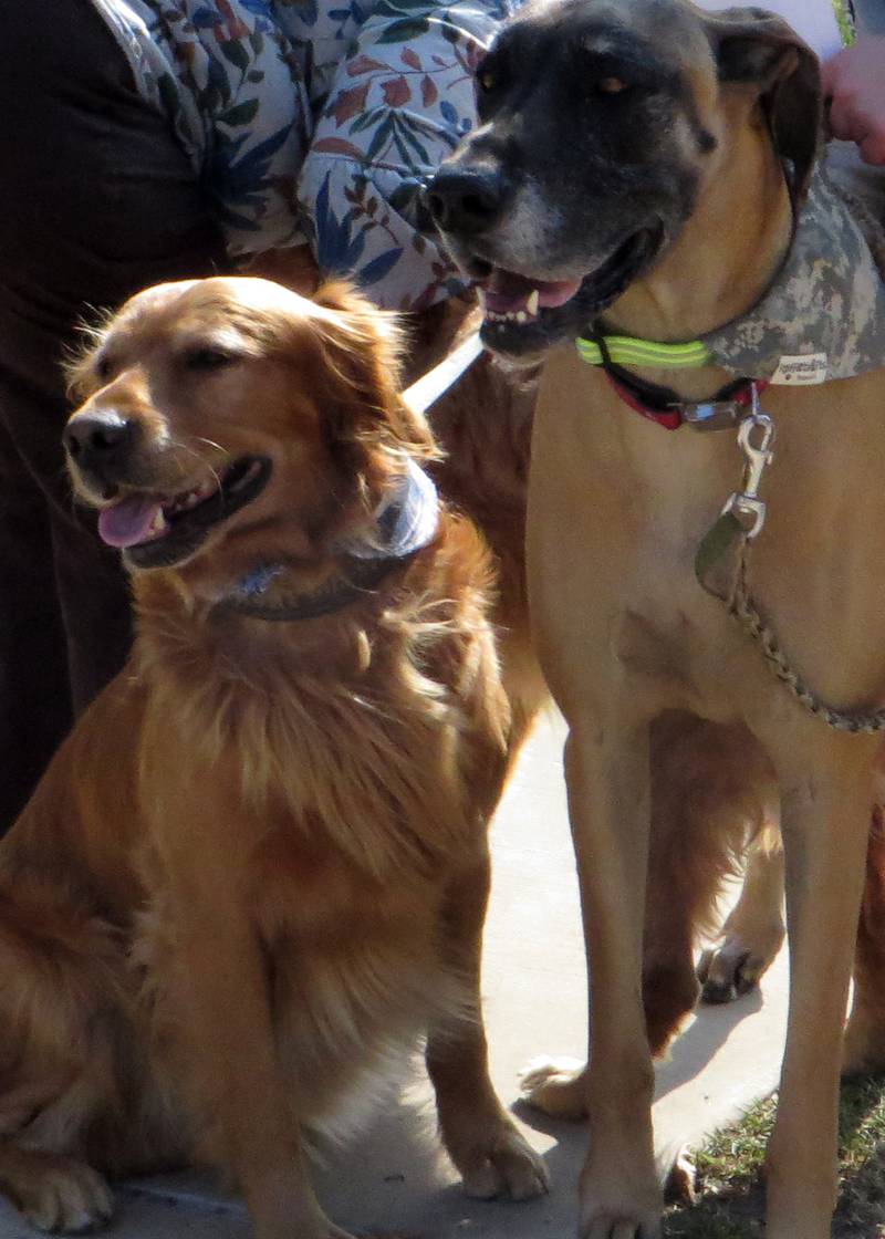 A Blessing of the Pets ceremony will begin around 11:30 a.m. Sunday, Oct. 6.