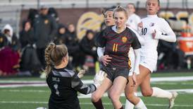 Girls soccer: Previewing McHenry County area sectional, regional championships