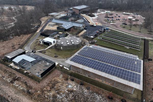 New DuPage wildlife hospital shows care for creatures great and small in ‘real time’
