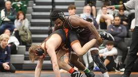 Herald-News boys individual state wrestling preview: 78 athletes aiming for titles