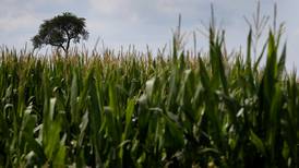 2024 crop marketing seminar is Nov. 20 in Rock Falls