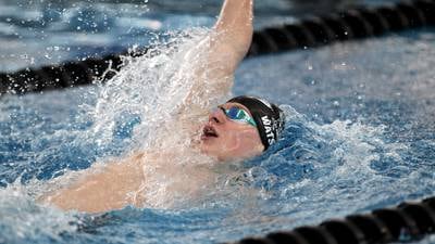 2023-24 Northwest Herald boys swimming preview capsules