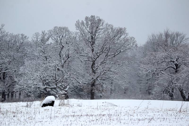 Snow falls at St. James Farm in Warrenville on Wednesday, Jan. 25, 2023.