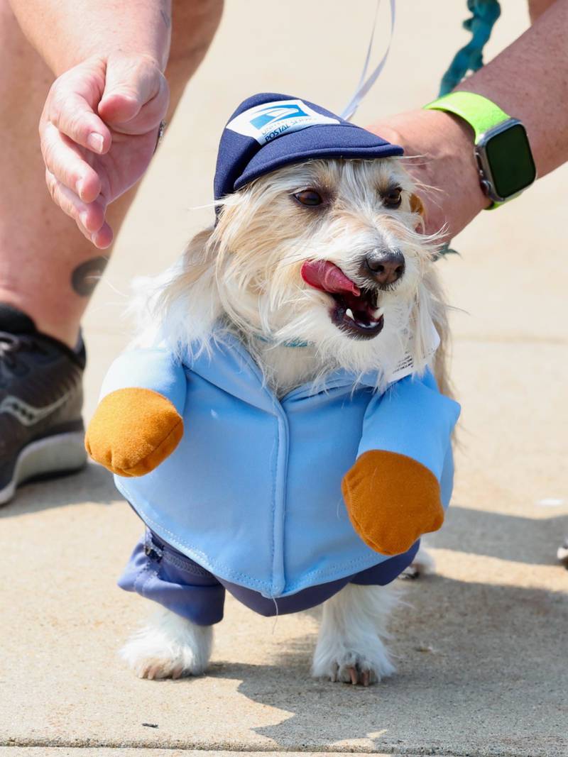 Greenfield Retirement Home in Princeton hosted a Paws on Park Avenue to entertain its residents on Saturday, May 31.