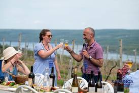 Uncorked: Ancient grape saperavi suited to new world climate