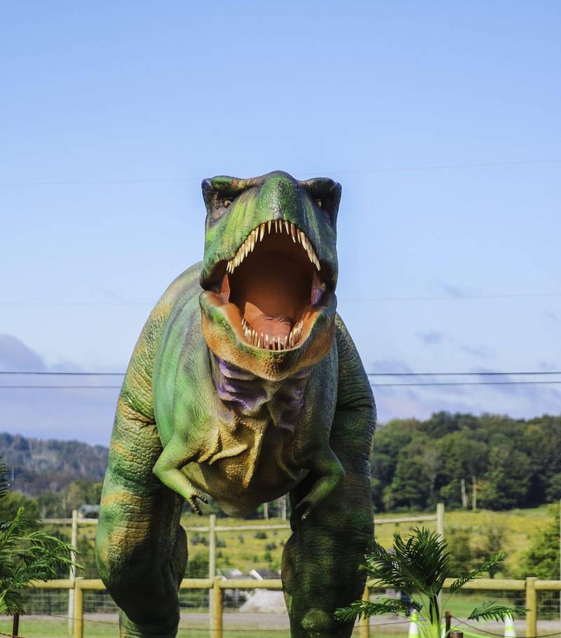 Dino Farm Adventure will run from May 24 – June 15, 2025 at Kuipers Family Farm in Maple Park.