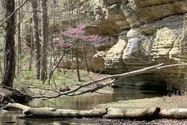 Illinois state parks draw highest number of visitors in more than a decade