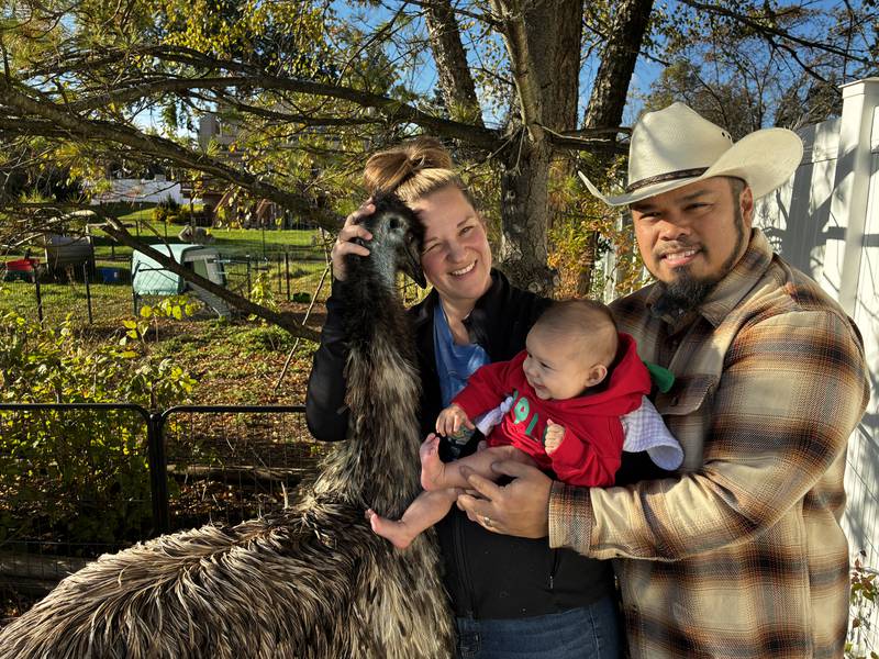 Dana and Marvin Maaba with their 3-month-old daughter and one of their emus at their McHenry home on Thursday, Oct. 30, 2025. The Maabas are putting their house on the market as the city will not allow them to keep the emus the bought the property to house in 2020.