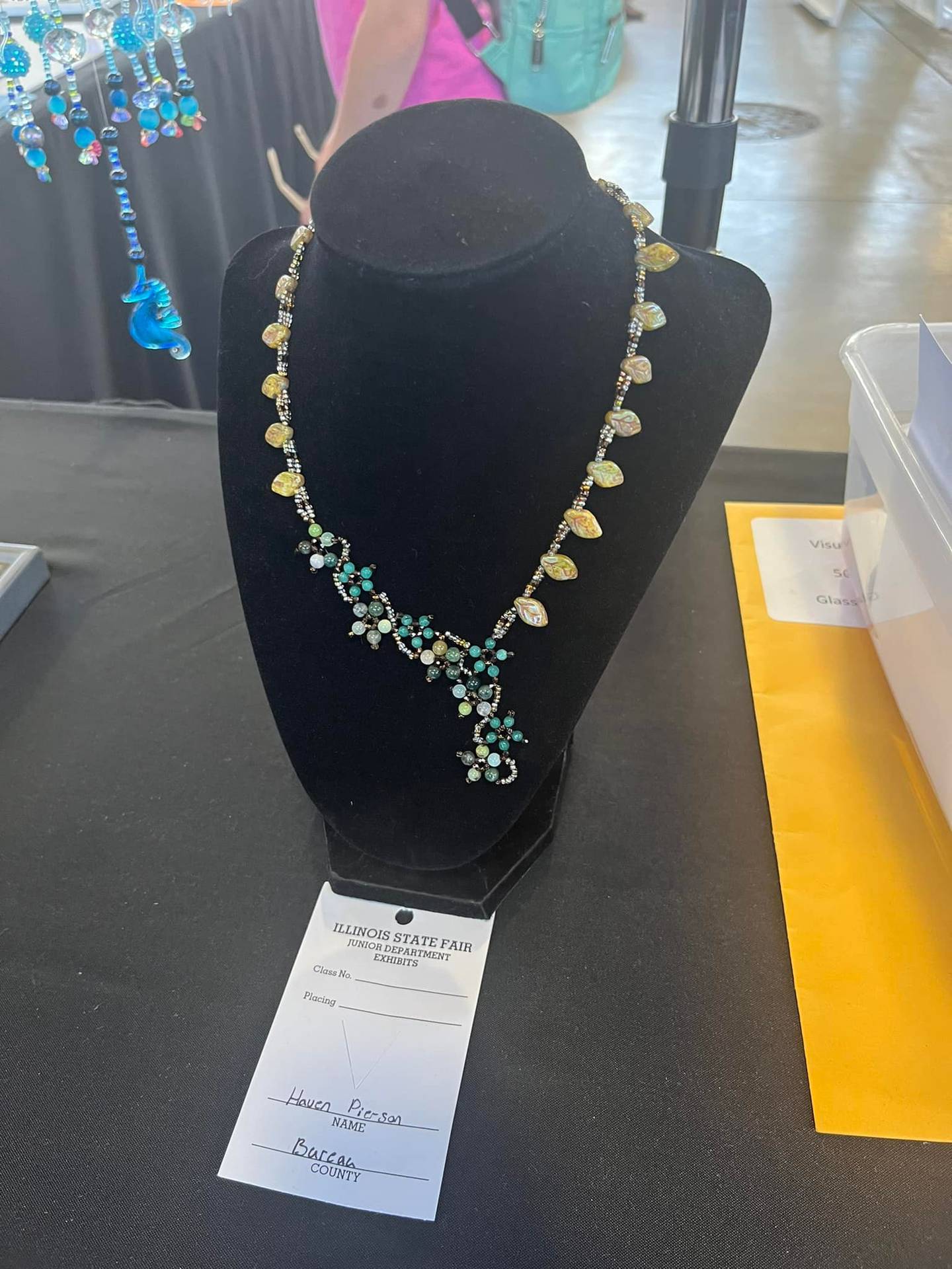 Haven Pierson, Western Winning Wonders 4-H Club, had her Visual Arts: Glass/Plastic project on display in the Orr Building at the Illinois State Fair received Reserve honors.