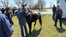 Listen: McHenry County’s 5 most-read stories this week, April 5-11