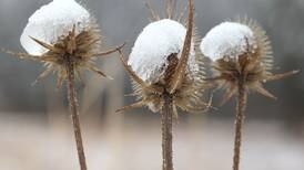 Photos: Late season snow blankets Shabbona Lake State Park in DeKalb County