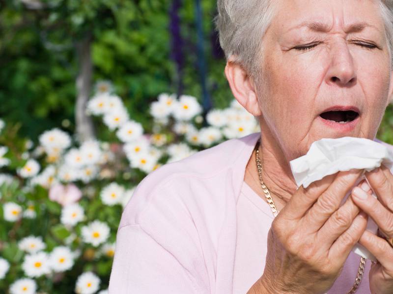 Climate factors causing allergy seasons to come earlier and last longer, experts say