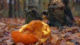 Don’t dump your pumpkins, Will County Forest Preserve says