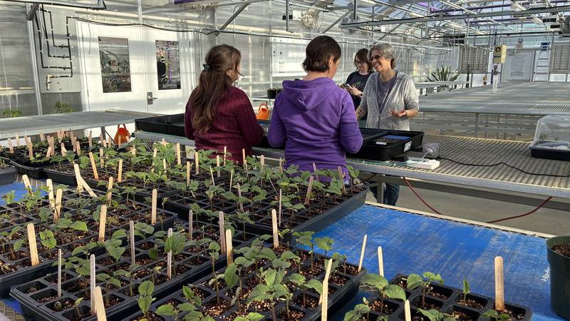The Great Seed Event is set for 10 a.m. to 2 p.m. Feb. 7 at McHenry County College, in the cafeteria. More than 1,000 people are expected at the event, where gardeners will swap seeds and learn about composting, urban gardening and pocket prairies.