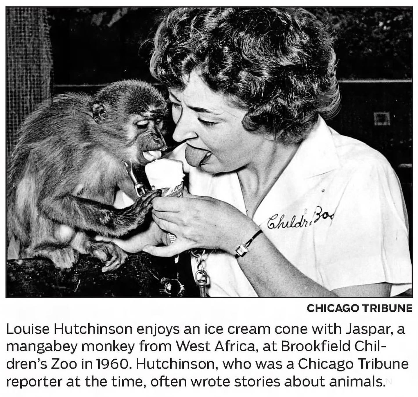 This photo of Louise Hutchinson ran with her obituary in the Chicago Tribune on April 25, 2017.