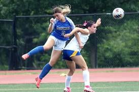 Photos: Johnsburg, Columbia meet in Class 1A girls soccer state championship