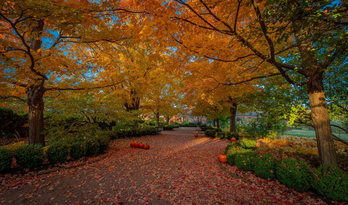 Enjoy Fall at Cantigny Park in Wheaton with several events that celebrate the season.