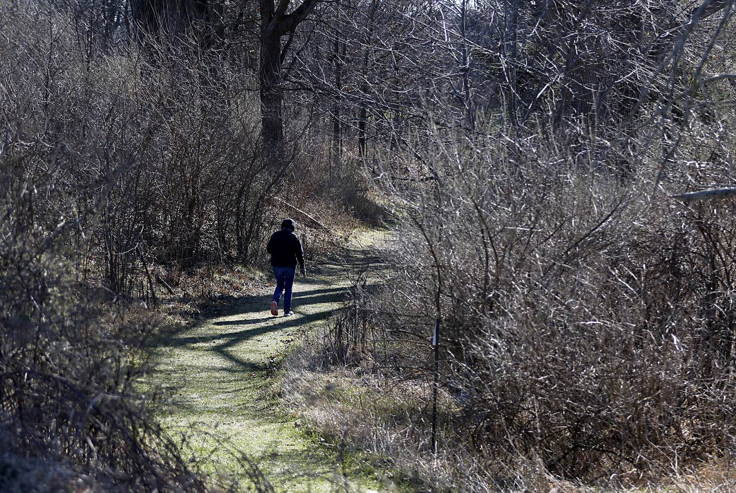 A person hikes Wednesday, March 20, 2024, in the McHenry Conservation District's Glacial Park. Tamarack Farms, a 985-acre property in Richmond, has been acquire by The Conservation Fund, Illinois Audubon Society, and Openlands, will be added to the neighboring Hackmatack National Wildlife Refuge, connecting two conservation district parks.