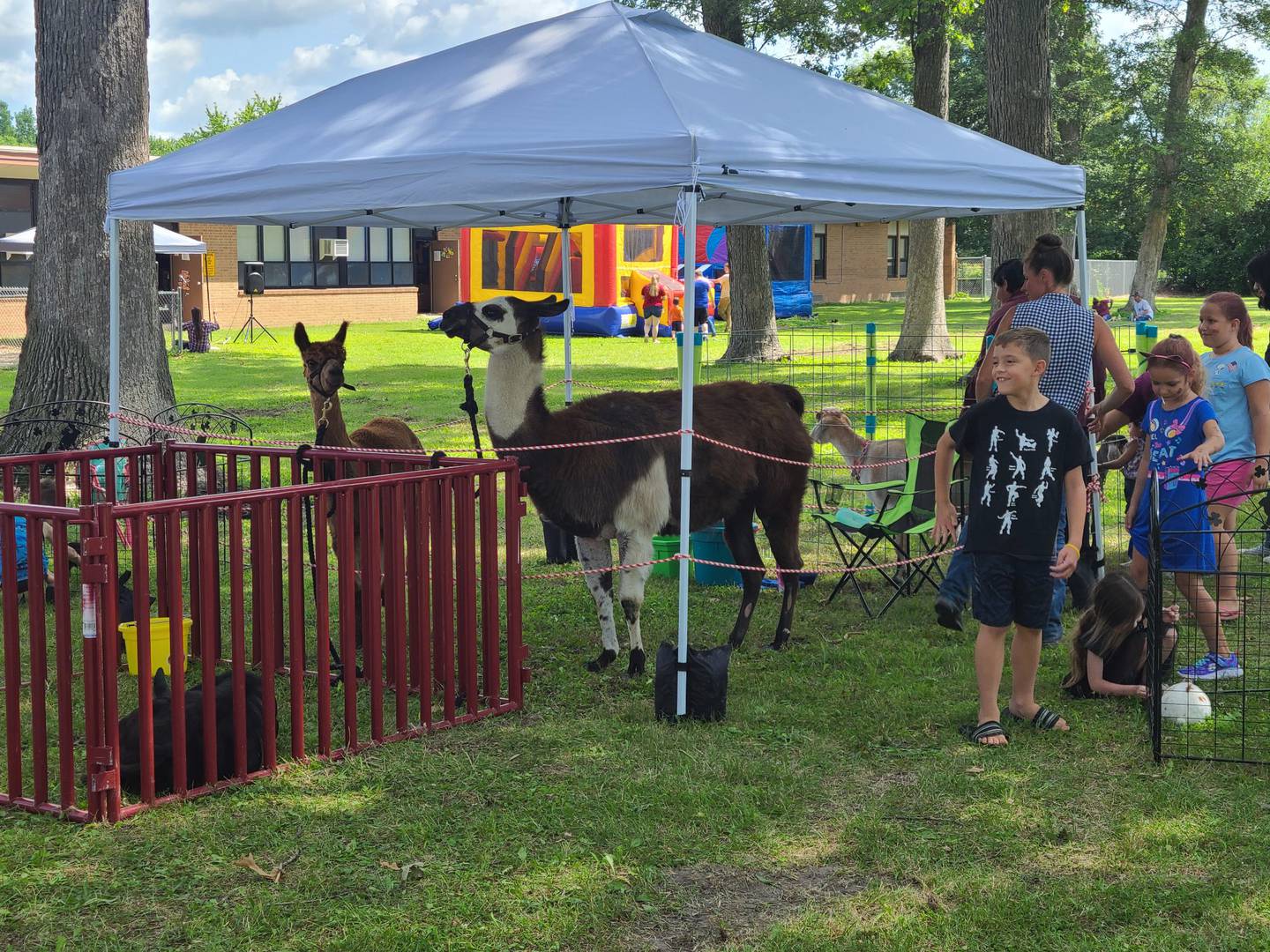 A petting zoo was part of the Back to School Fair conducted Saturday, July 30, 2022, at Oakland Park in Streator.