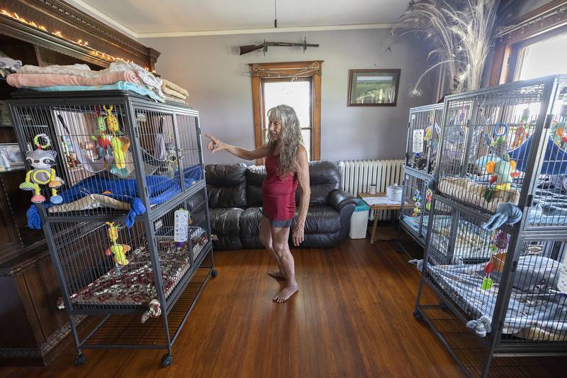 Jane Hochstatter has several cages inside of her home as seen Thursday, June 26, 2025. The animal rescuer is losing the home and property as the landlord is selling the place.